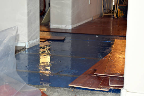 Professional Burst Pipe Cleanup technician working in Kings Park, VA